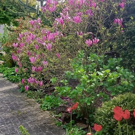 Birkmaase 3 Muschelblau Og * Цингст